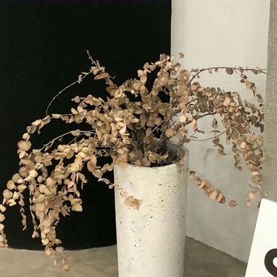 兽设细节刻画技巧Furry群